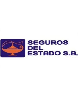 SEGUROS DEL ESTADO PG WEB